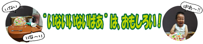 　“いないいないばあ”はおもしろい！